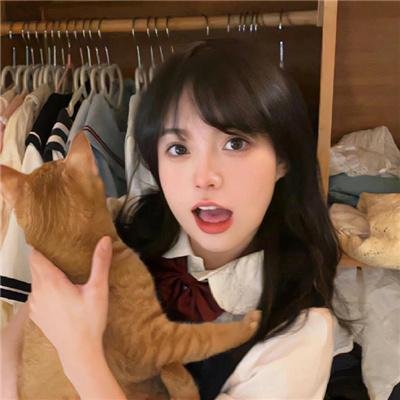 凤皇传